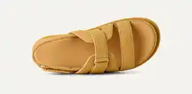 Étoile d’or scintillante