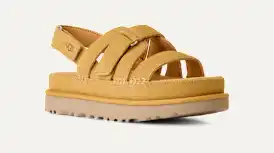 Étoile d’or scintillante