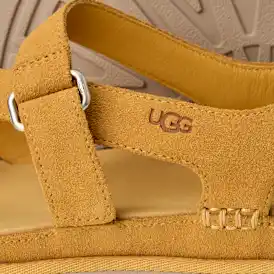 Entredoigt GoldenGaze