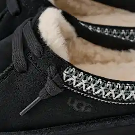 Tasman Mule