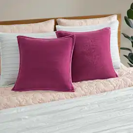 Coco Pillow 2 Pack