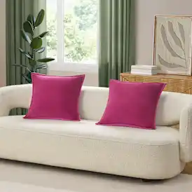 Coco Pillow 2 Pack