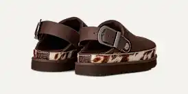 Sabot Western Goldenstar