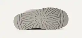 Disquette Frosted