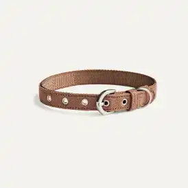 Wylie Collar Small