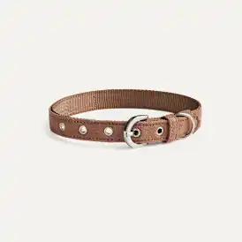 Wylie Collar Medium