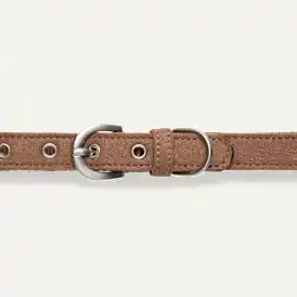 Wylie Collar Small