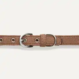 Wylie Collar Medium