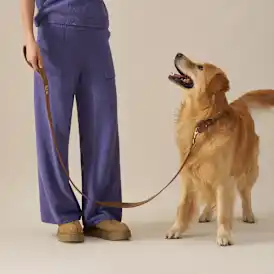 Wylie Leash