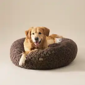 Shira Pet Bed Large