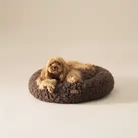 Shira Pet Bed Large