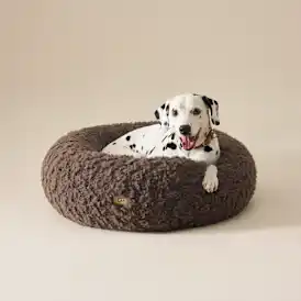 Shira Pet Bed Large