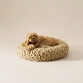 Shira Pet Bed Small