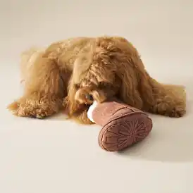 Classic Boot Pet Toy