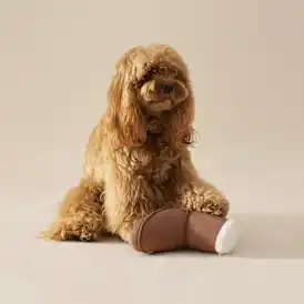 Classic Boot Pet Toy