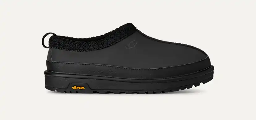 Réfléchissant Tasman