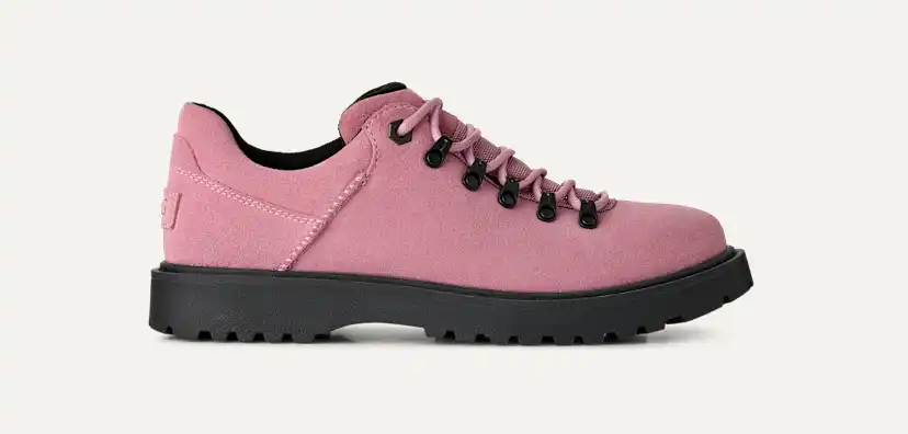 Birch Hiker