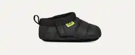 Tasman LTA
