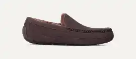 Ascot Slipper | UGG