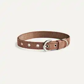 Wylie Collar Large