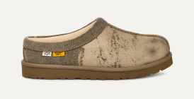 【激安通販 オンラインショップ】 UGG® UGG® | Men for Tasman Canvas Dept Gallery UGG 靴