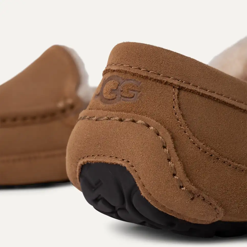 Men's Ascot Slipper