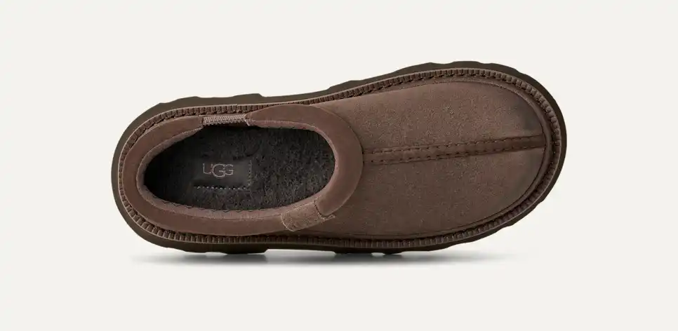 Cosse Tasman