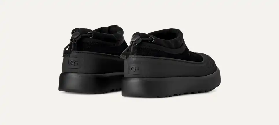 Tasman Weather Hybrid