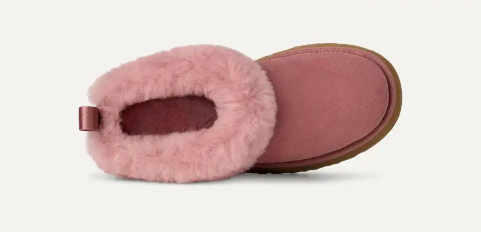 Tazzelle Tazzelle
