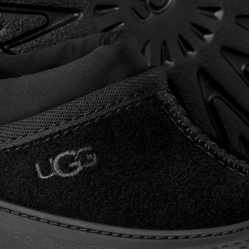 Tasman Weather Hybrid