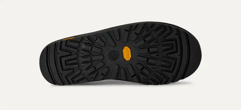 Réfléchissant Tasman