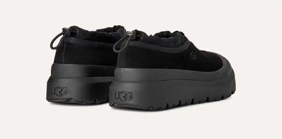 Tasman Weather Hybrid