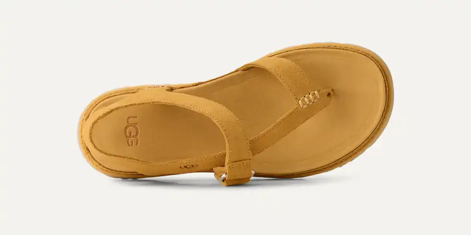 Entredoigt GoldenGaze