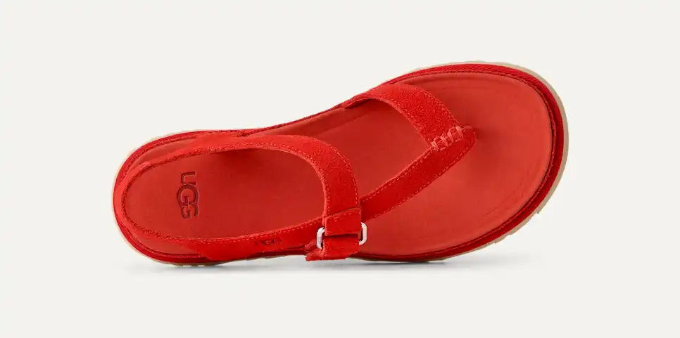 GoldenGaze Toe Post