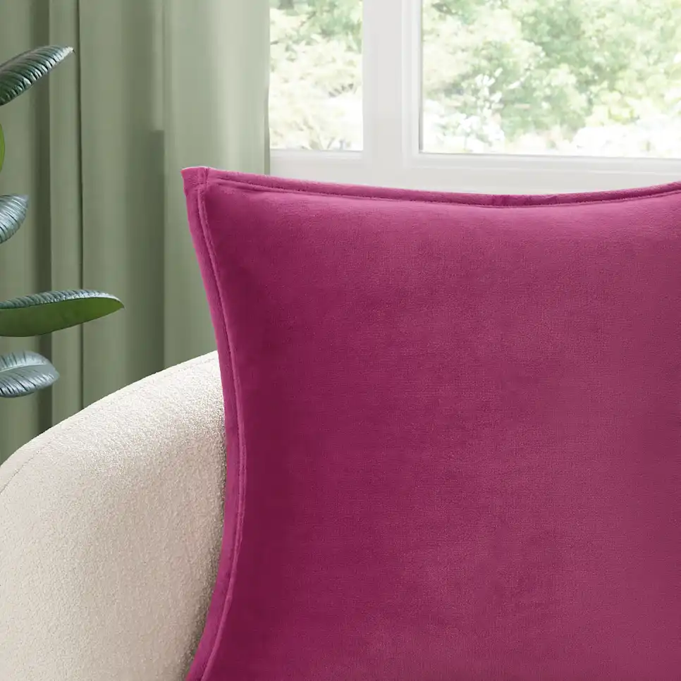 Coco Pillow 2 Pack