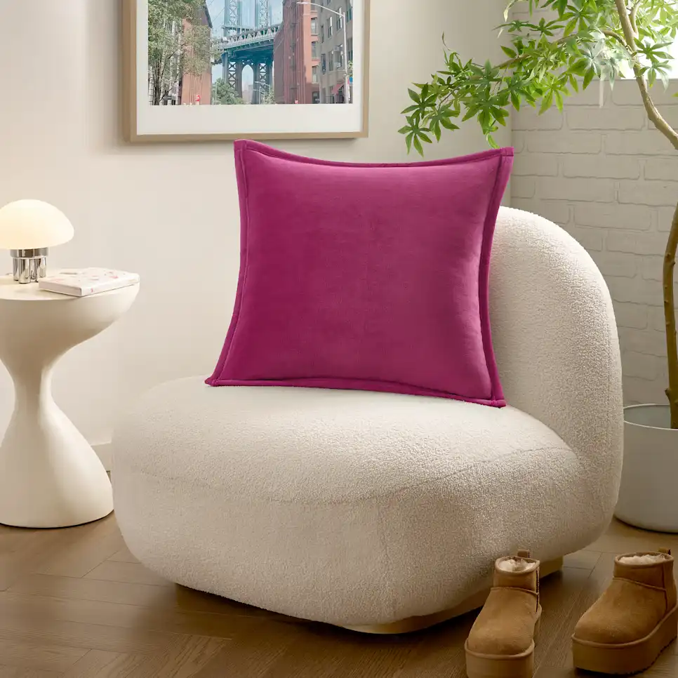 Coco Pillow 2 Pack
