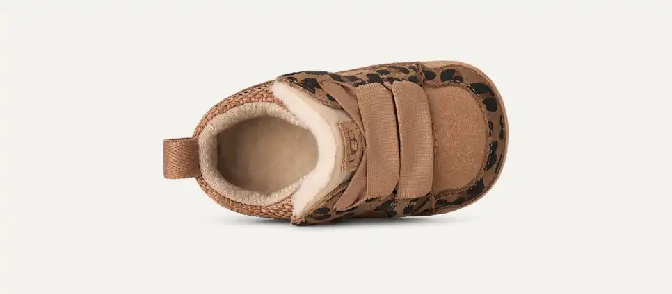 Lowmel tachetée