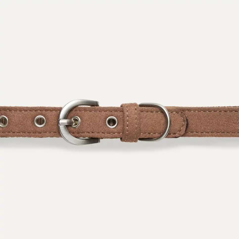 Wylie Collar Small