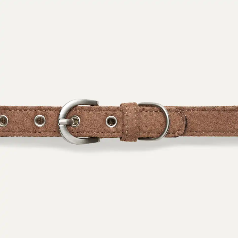 Wylie Collar Medium