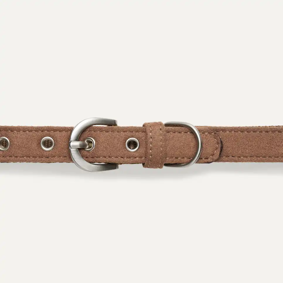 Wylie Collar Large