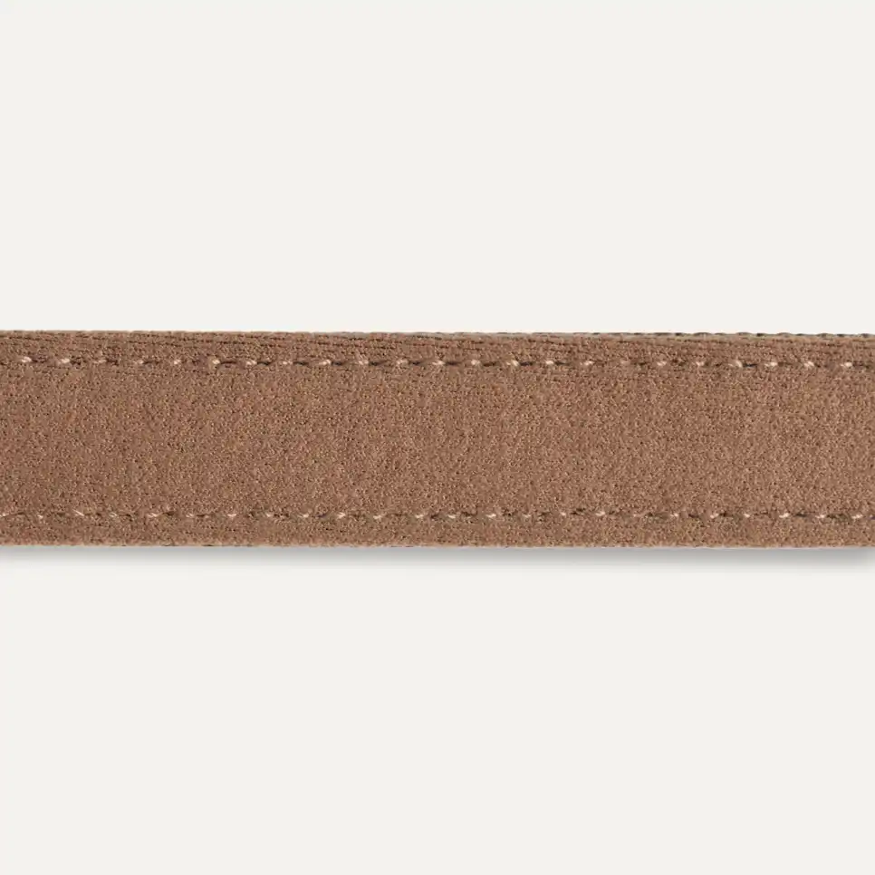 Wylie Collar Small