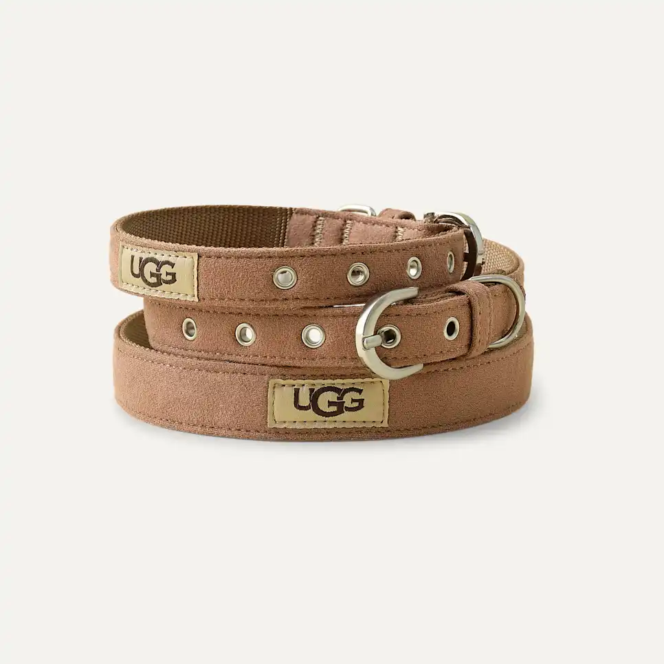 Wylie Collar Large