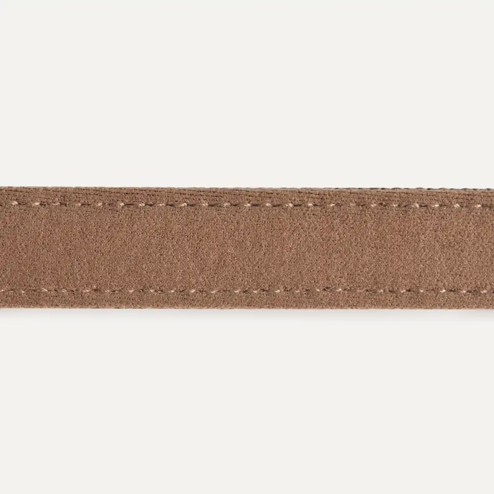 Wylie Collar Medium