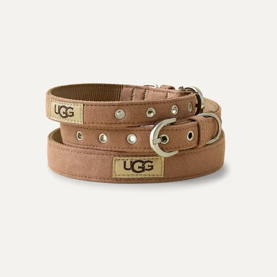 Wylie Collar Small