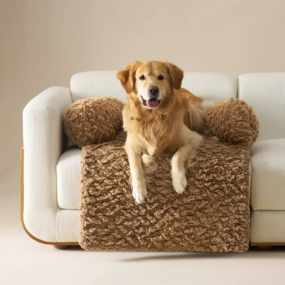 Shira Sofa Pet Bed Small