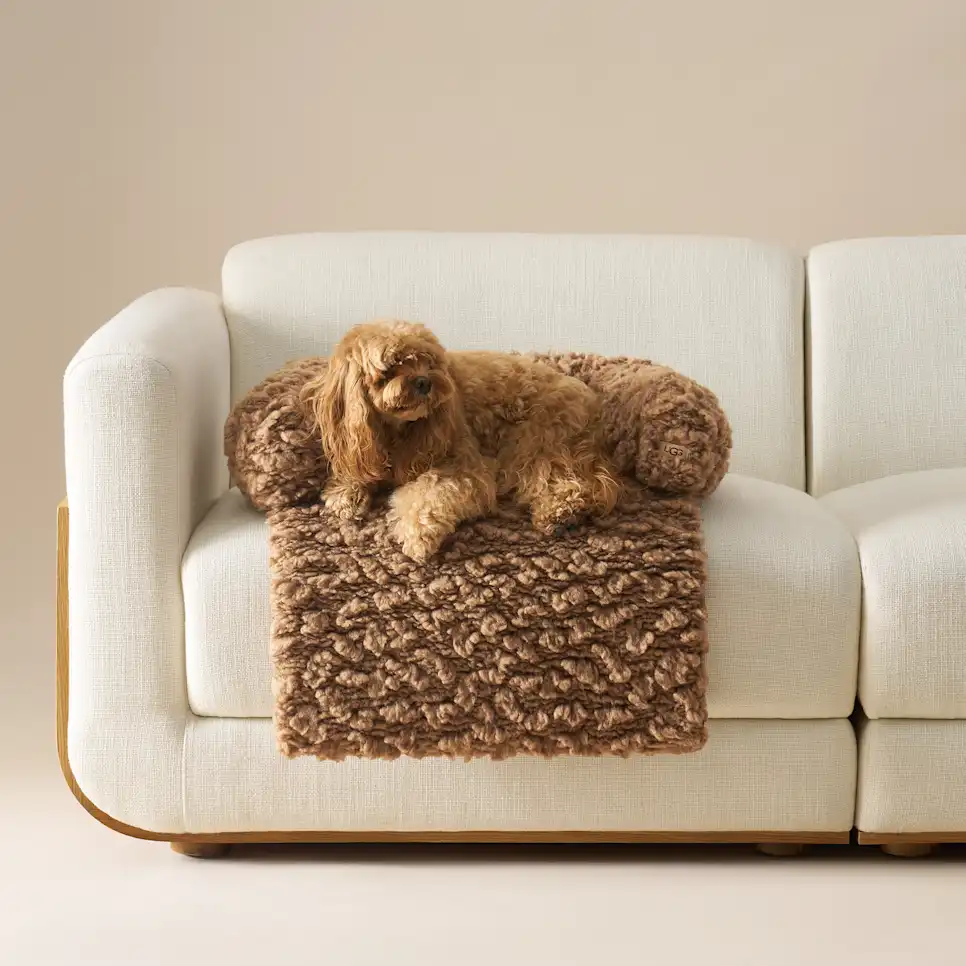 Shira Sofa Pet Bed Small