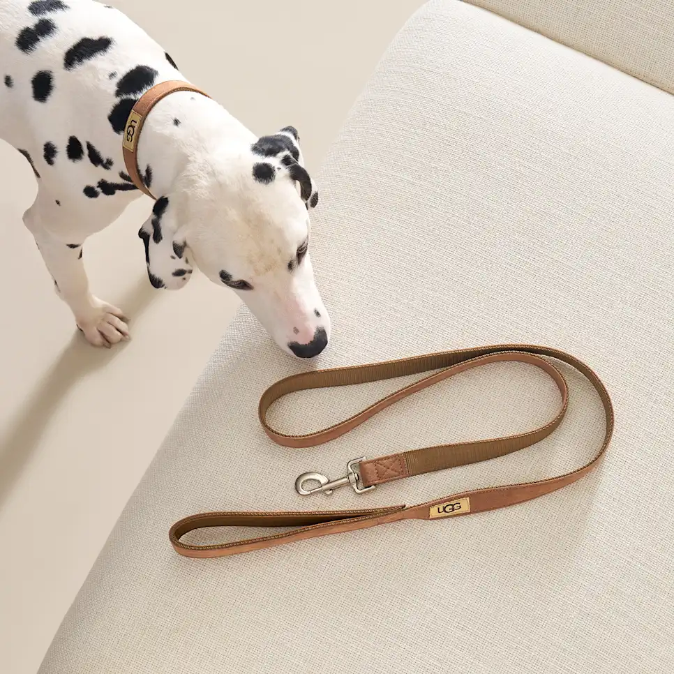 Wylie Leash