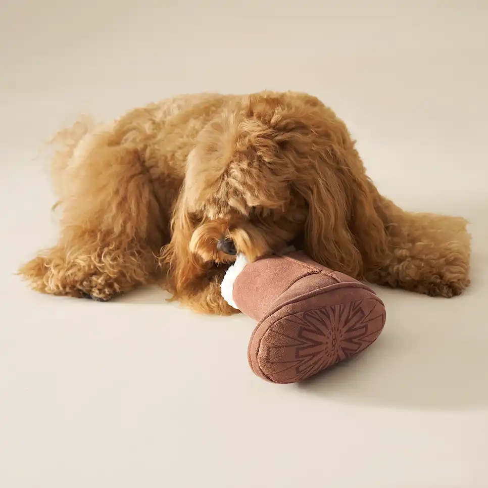Classic Boot Pet Toy