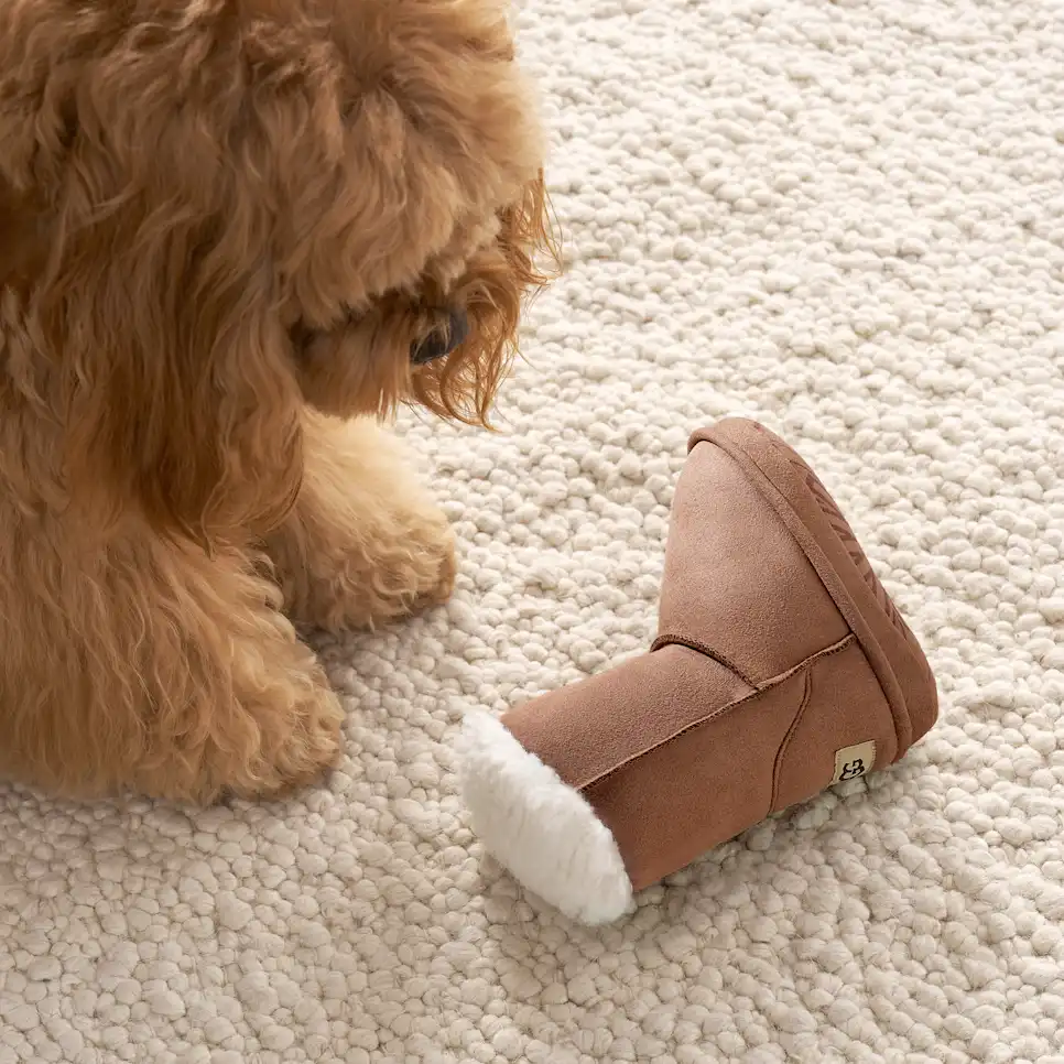Classic Boot Pet Toy