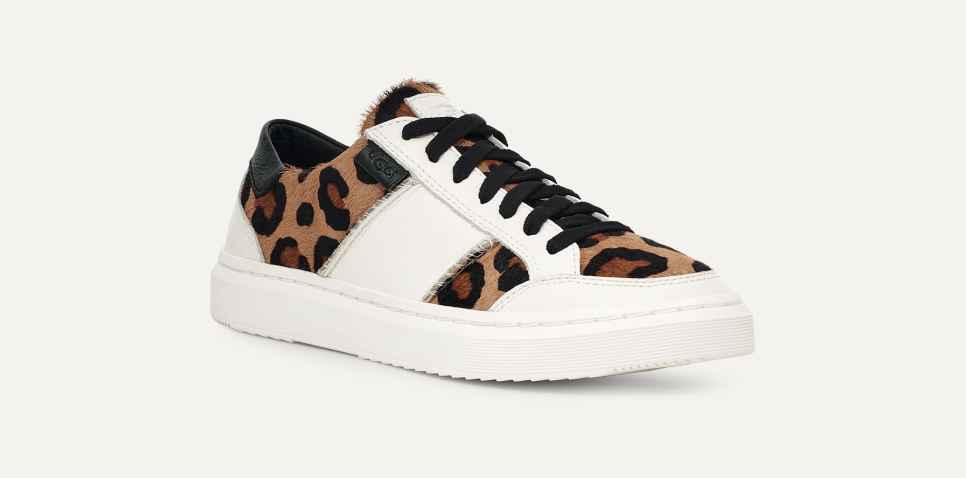 Alameda Spotty Lace Sneaker | UGG®